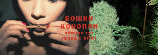 молекула духа Семилуки