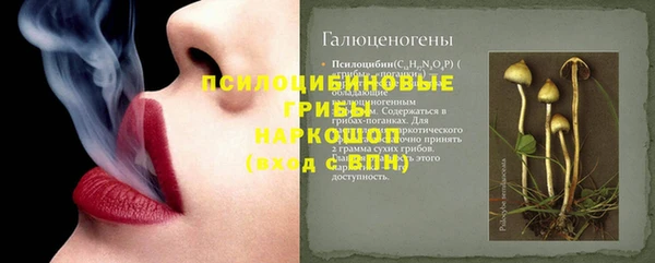 эйфоретик Козловка