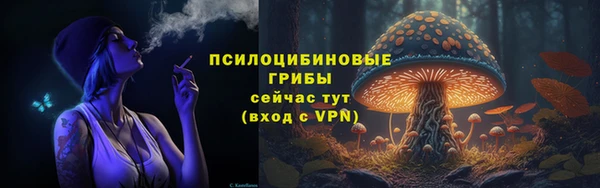 эйфоретик Семёнов
