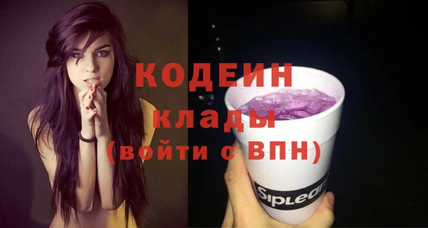 молекула духа Семилуки