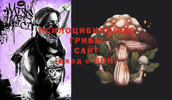 эйфоретик Козловка