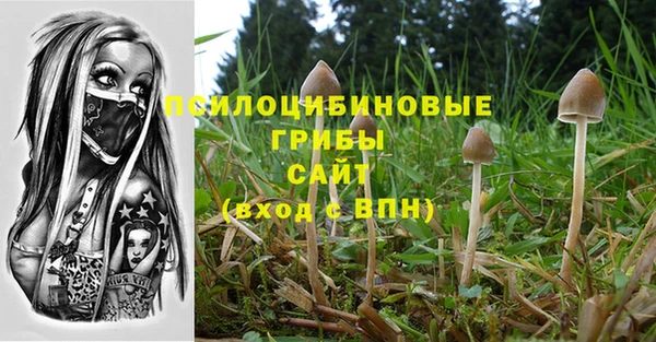 МДПВ Кодинск