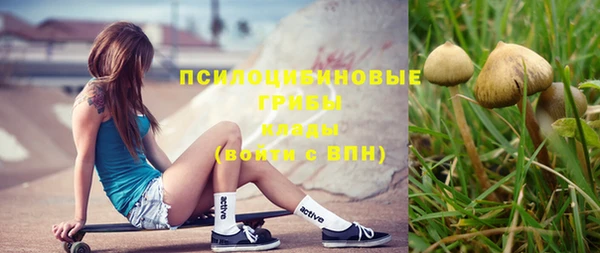 эйфоретик Козловка