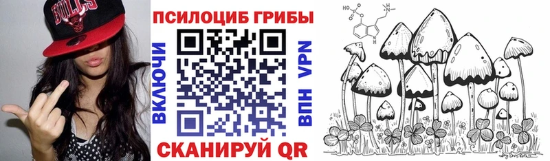 Псилоцибиновые грибы мицелий Купить где Белорецк